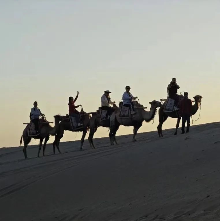 沙海征途,心向未来|2024广东省涂料与油墨行业戈壁徒步挑战之旅 沙海征途,心向未来|2024广东省涂料与油墨行业戈壁徒步挑战之旅