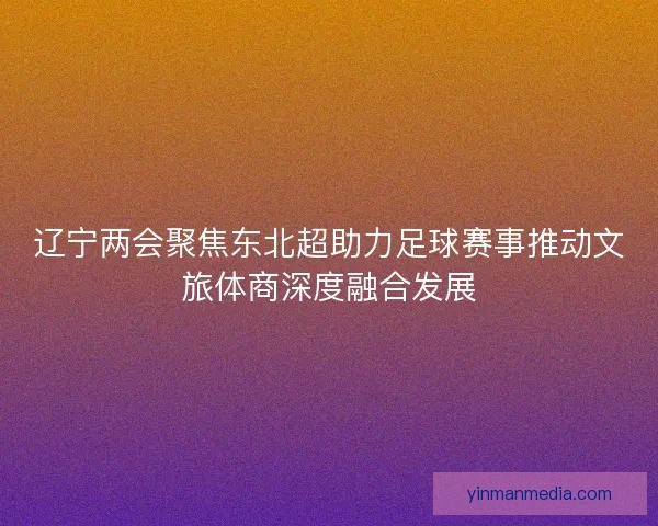 辽宁两会聚焦东北超助力足球赛事推动文旅体商深度融合发展